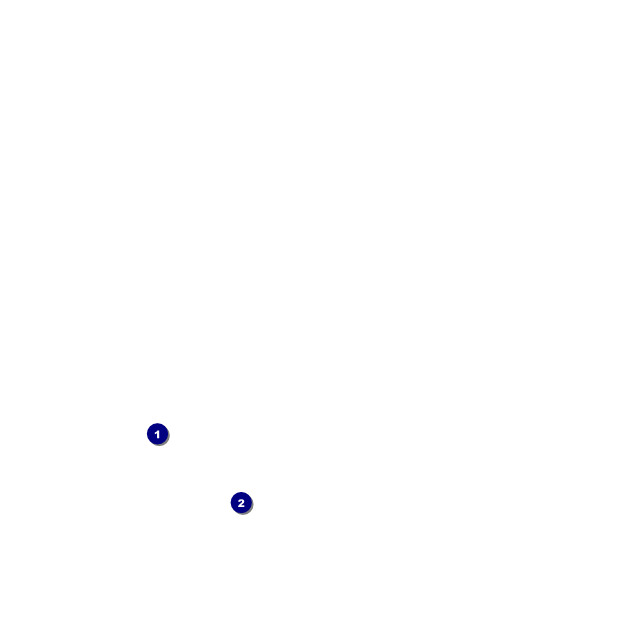 Blue dot image overlay